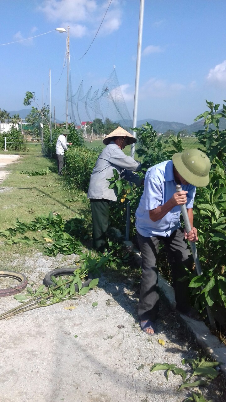 cao tuổi Ml